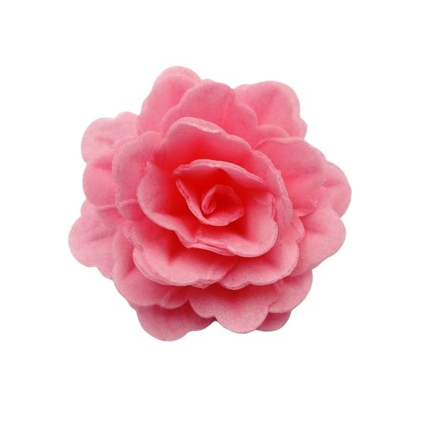 Waffelrose Chinesisch groß rosa