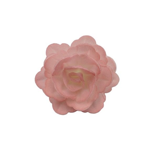 Wafer rose Chinese medium pink shaded