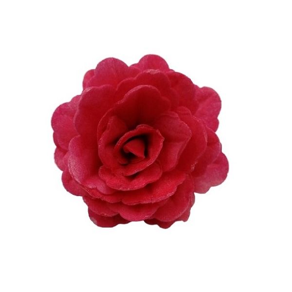 Oblátková ruža čínska veľká červená