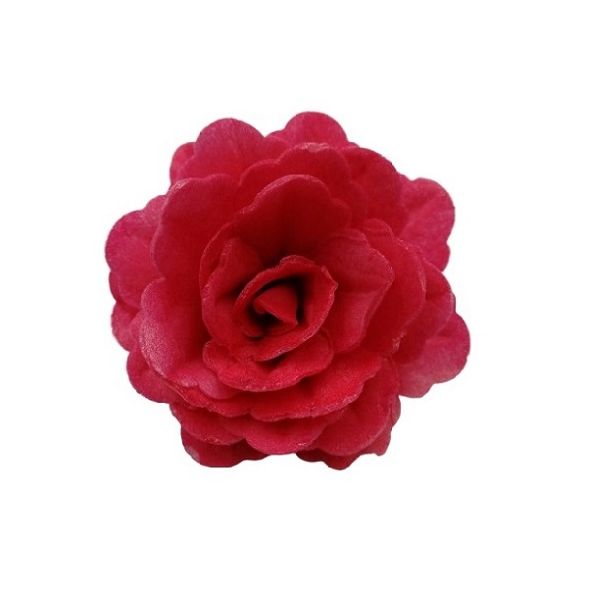 Wafer rose Chinese large red