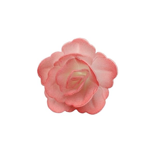 Wafer rose Chinese small pink shaded