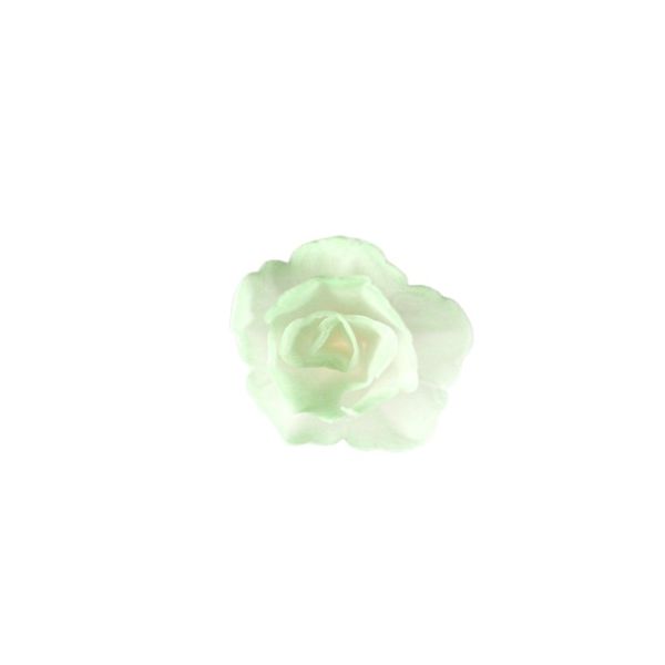 Oblátková ruža čínska malá zelená tieňovaná