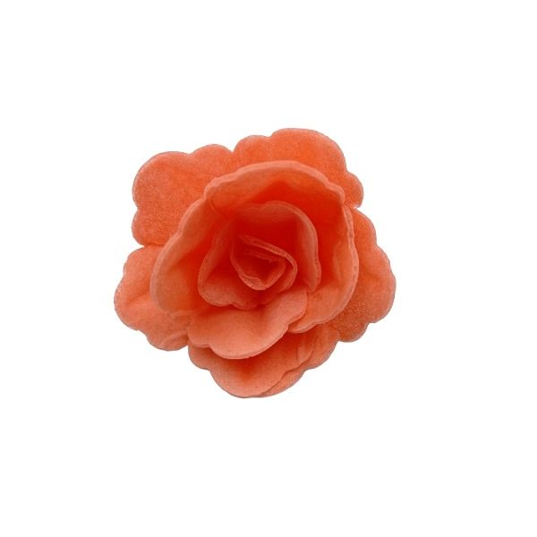 Wafer rose Chinese small salmon