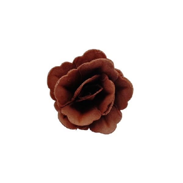 Oblátková ruža čínska malá hnedá