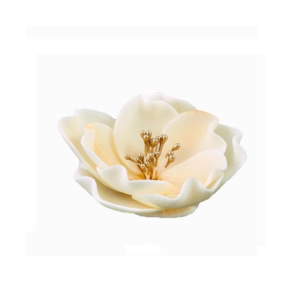 Eustoma malá béžová Eustoma malá béžová