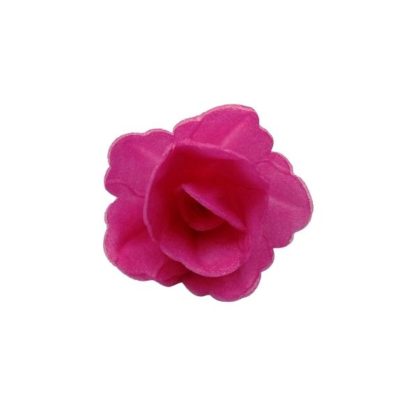 Oblátková ruža čínska malá fuksia Oblátková ruža čínska malá fuksia