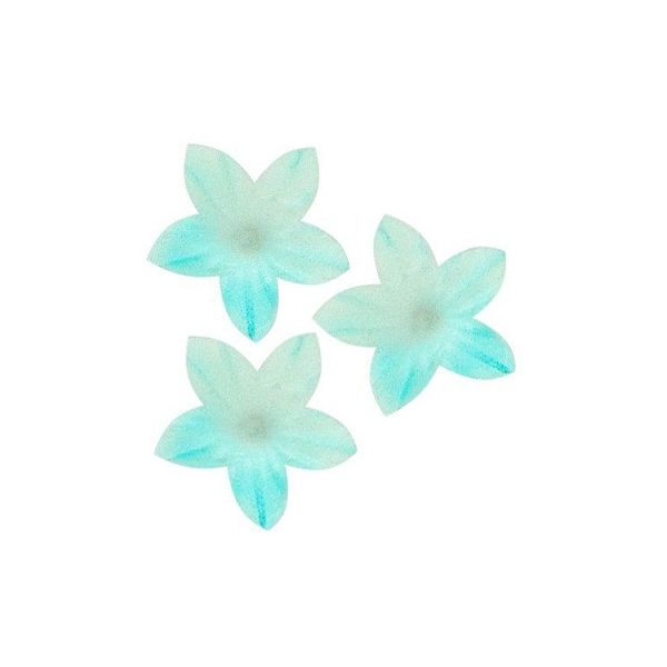 Oblátkový kvet mini modrý