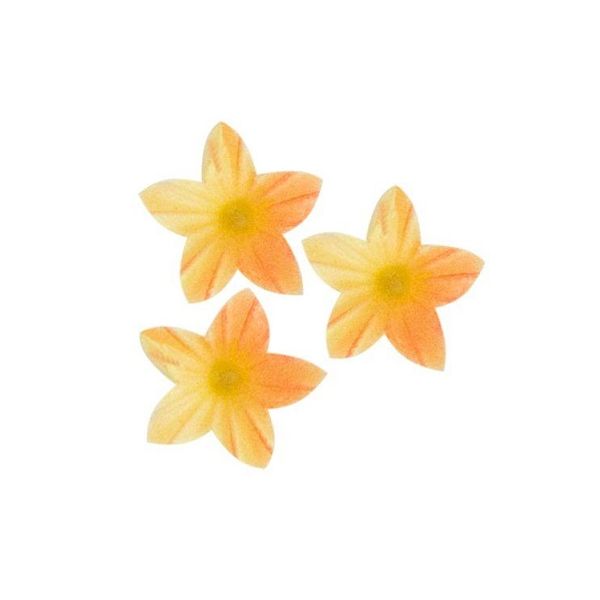 Wafer flower mini tea