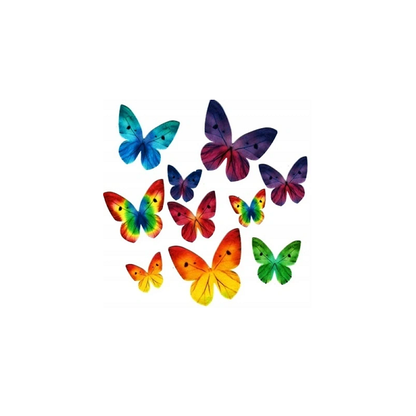 Oblátkový motýľ mix