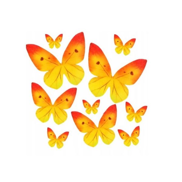 Oblátkový motýľ žltý