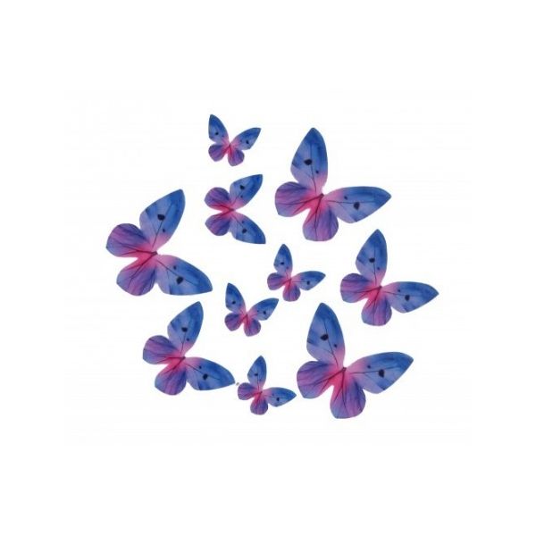 Oblate Schmetterling blau