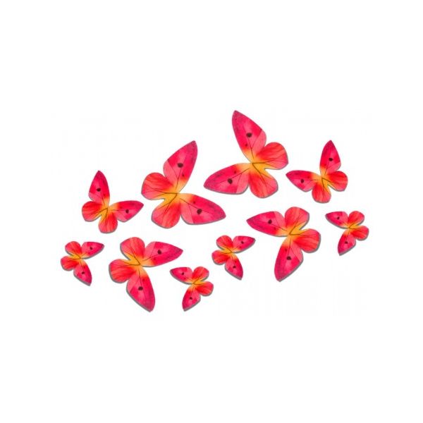 Oblátkové motýle ružové