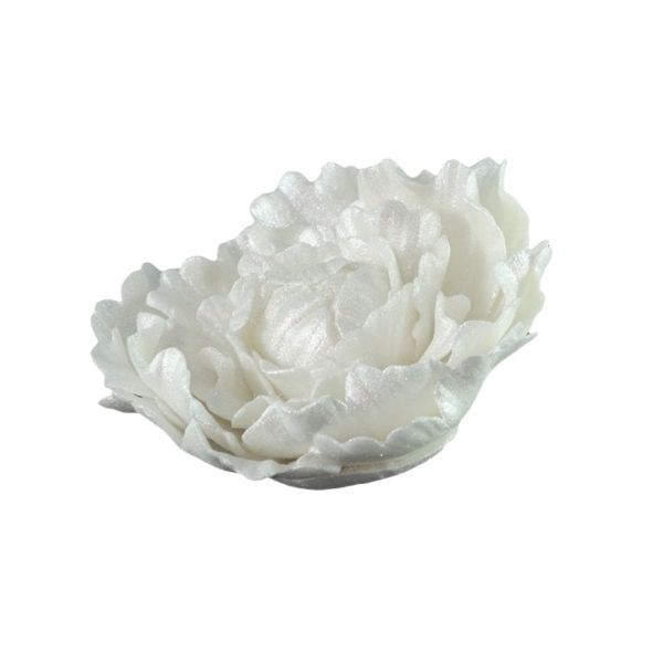 White pearl peony