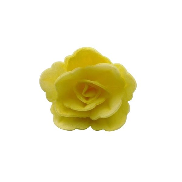 Wafer rose Chinese small yellow