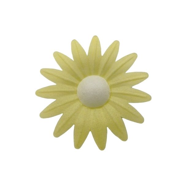 Wafer daisy yellow