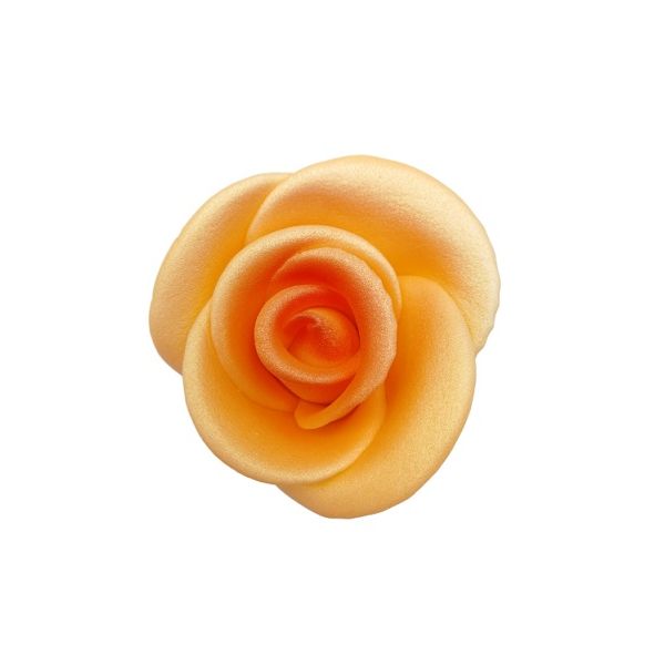 Große perlorangefarbene Rose