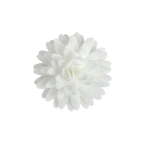 Wafer daisy pompon white