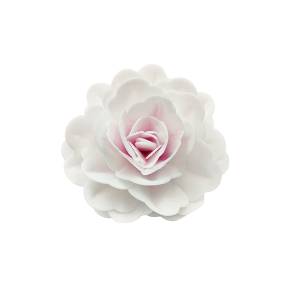 Waffelrose Chinesisch maxi rosa - 12,5 cm