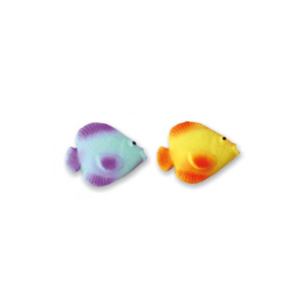 Kleiner Fisch