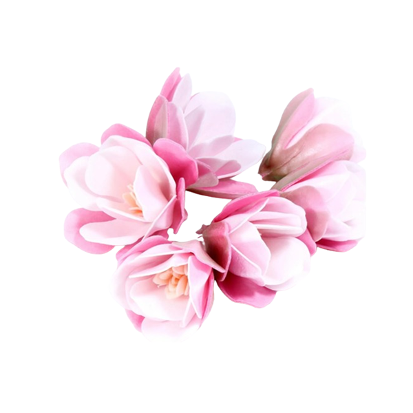 Oplatková magnolie růžová 6 ks