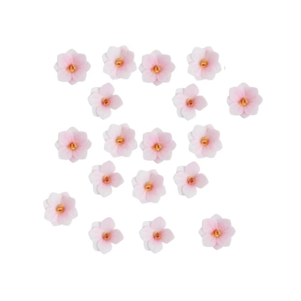 Wafer hydrangea white-pink