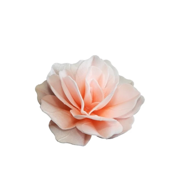 Waffelrose Chinesischer Maxi-Weiß-Lachs