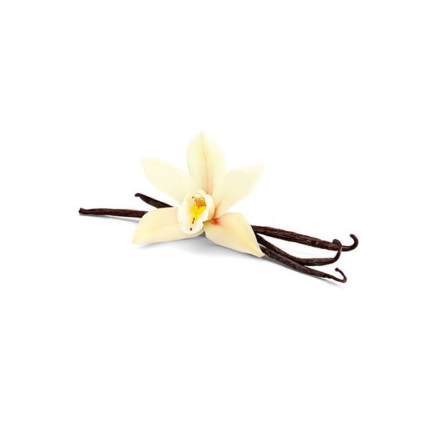 Aroma Vanilla 40% 100ml