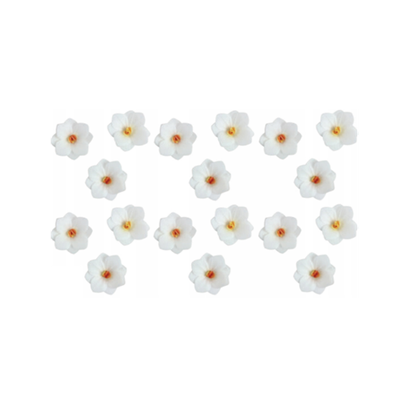 Wafer hydrangea white