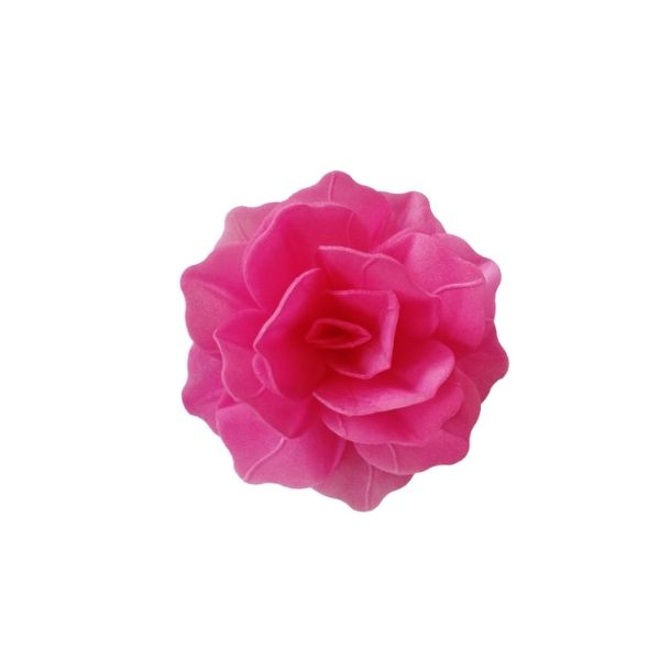 Oplatková růže čínská maxi fuchsia