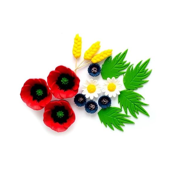 Set of flowers - red poppy, daisy, cornflower and leaves