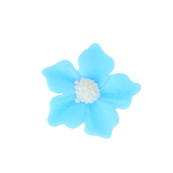 Pelargónia svetlomodrá