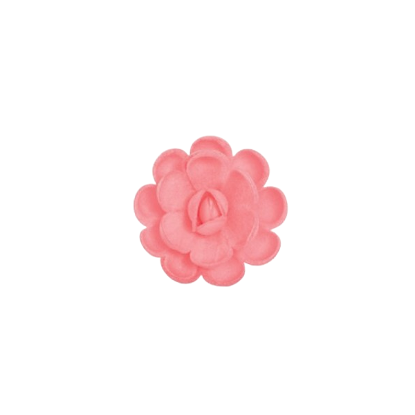 Englische Oblatenrose Groß Rosa