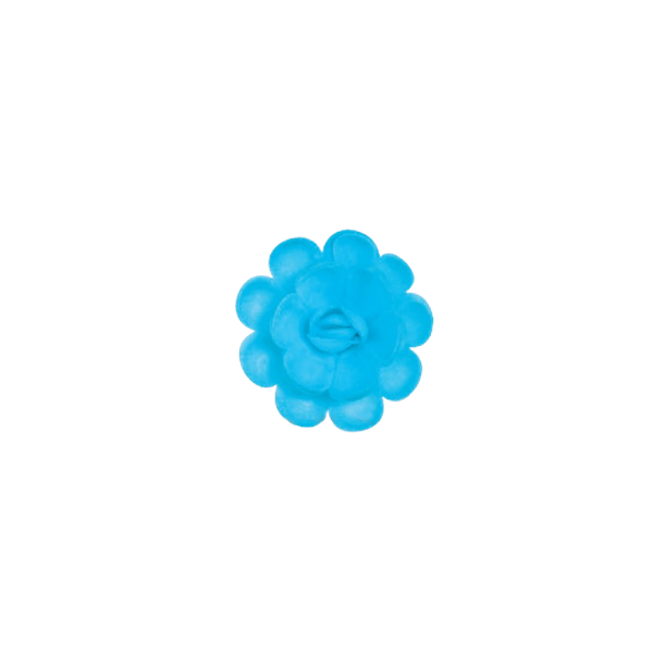 Englische mittelblaue Oblatenrose