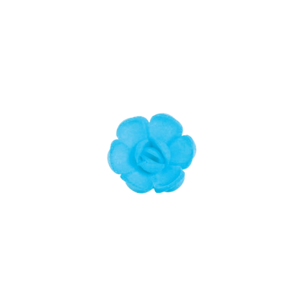 Englische kleine blaue Oblatenrose