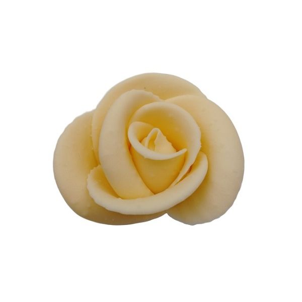Large cream rose