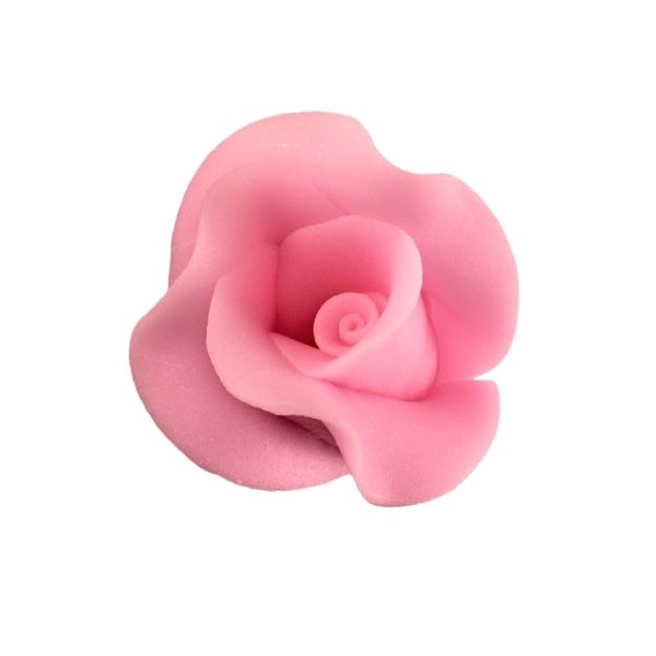 A large pink rose