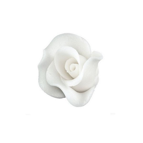 Medium white rose