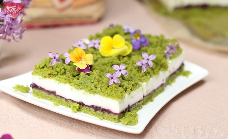 Gluten-free moss slices with yogurt filling