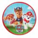 Paw Patrol theme