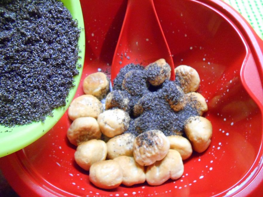 Gluten-free toast with poppy seeds, cottage cheese or cabbage