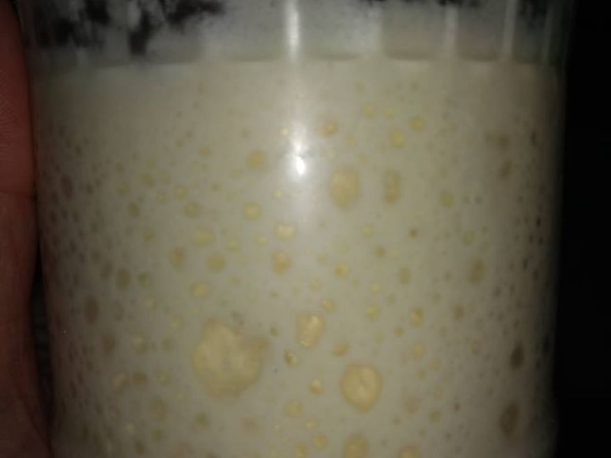 Gluten-free sourdough toast bread