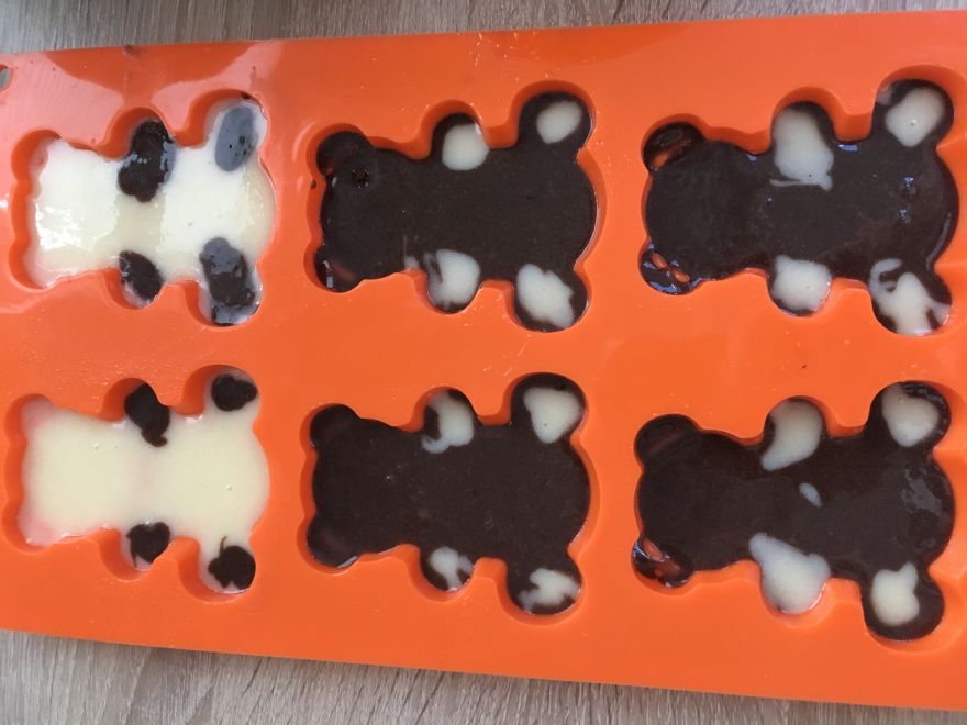 Bezlepkoví medvídci