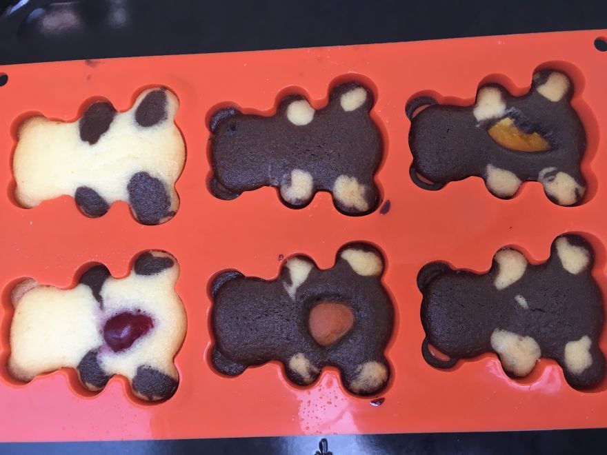 Bezlepkoví medvídci