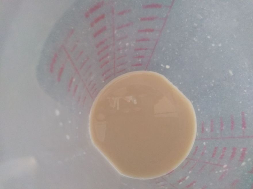 Gluten-free baguettes with onion