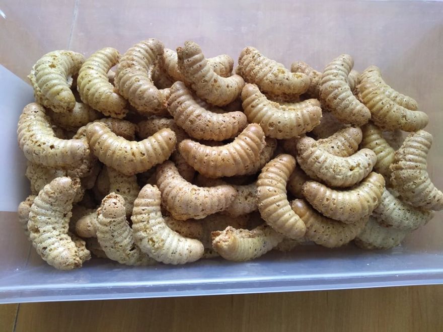 Gluten-free and dairy-free Parisian rolls