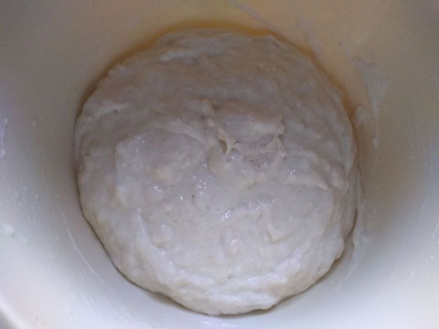 Gluten-free sourdough sunflower bread