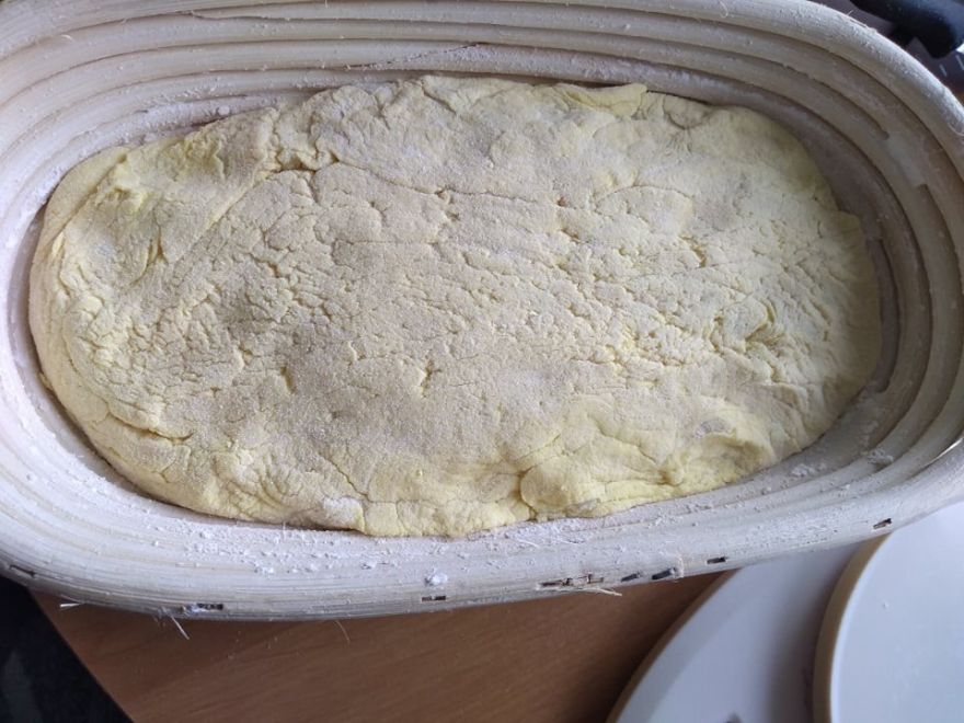 Gluten-free sourdough sunflower bread