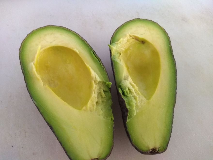 Bezlepkový kváskový děravec