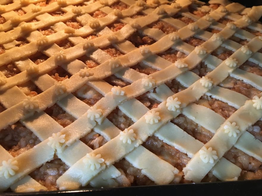 Jablkový mrežovník