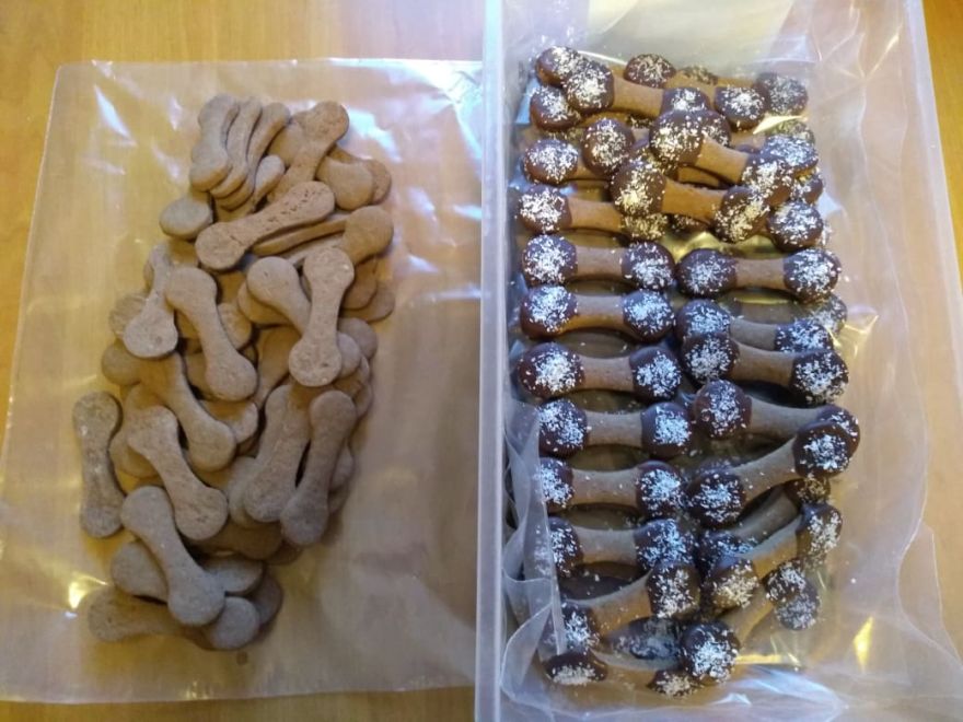 Bezlepkové kočičí jazýčky